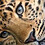 Alexandre_Fiocre