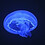 JellyFish_Blue